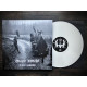 En rispa i verkligheten (vinyl LP)